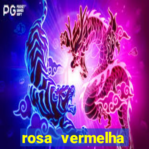 rosa vermelha (letra e cifra)